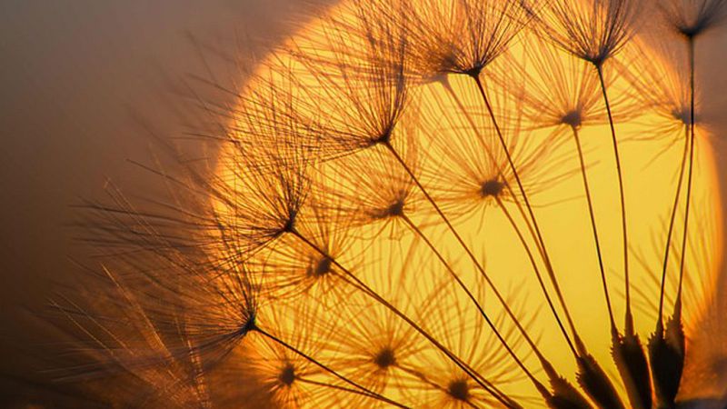 Temperaturas diurnas en ascenso en la Península y Baleares