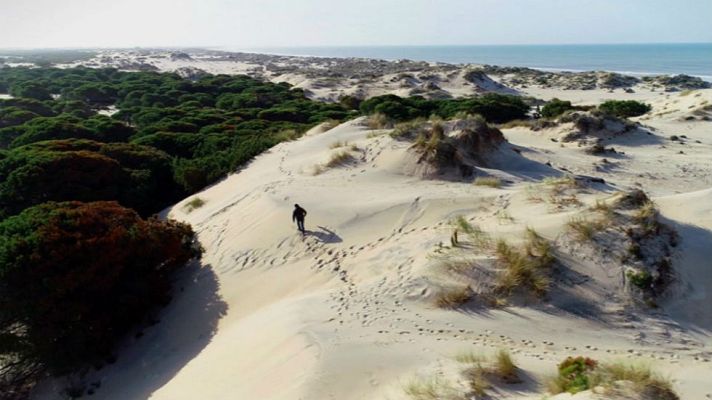 Aquí la Tierra - Leyendo el paisaje de Doñana