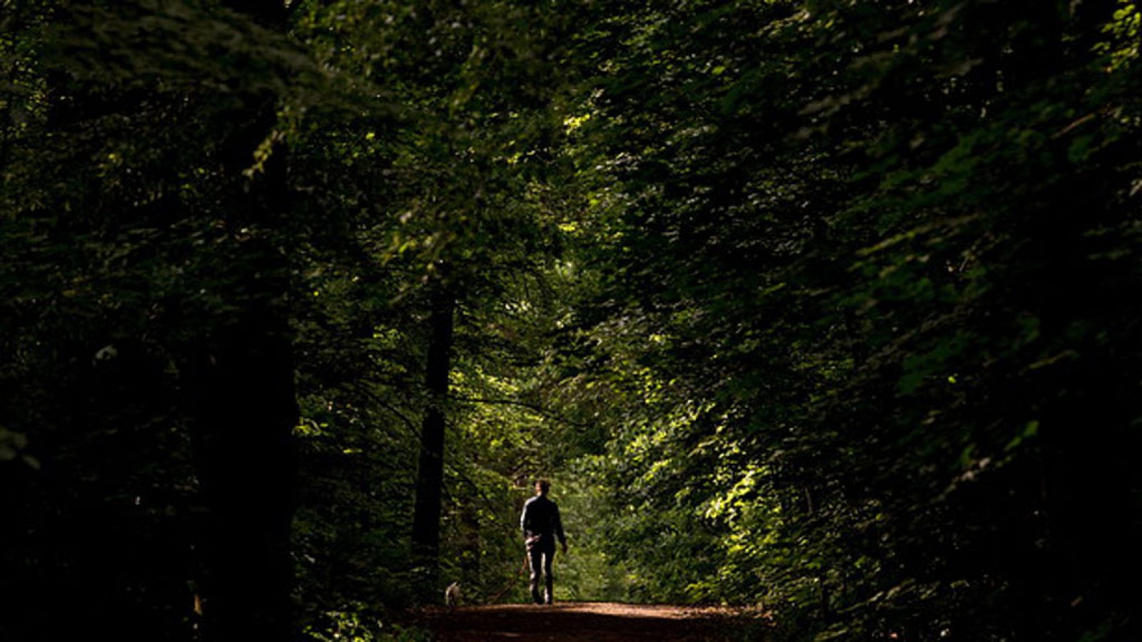 El Tiempo en la Comunidad de Madrid - 16/05/18