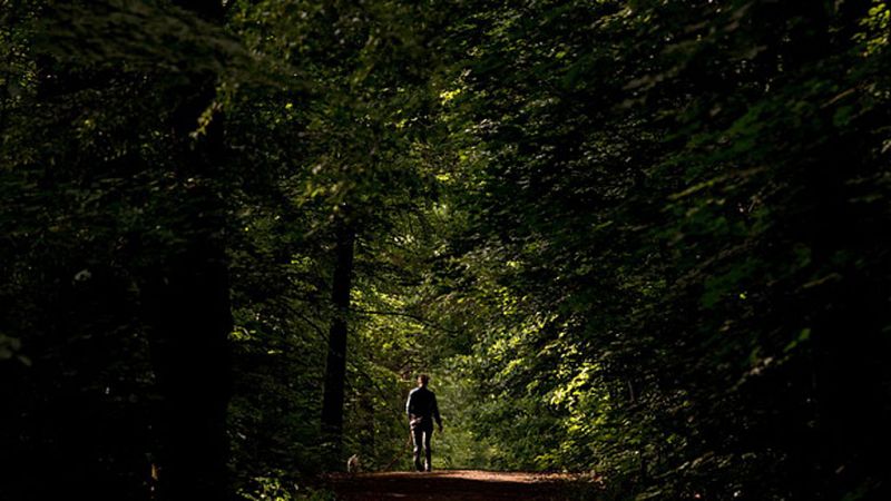 El Tiempo en la Comunidad de Madrid - 16/05/18