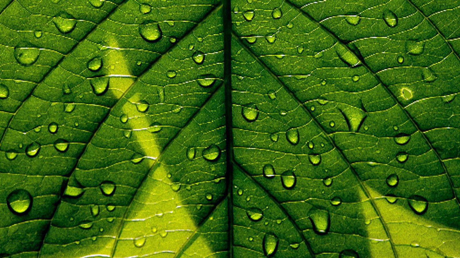 Nubes y posibles lluvias en el litoral