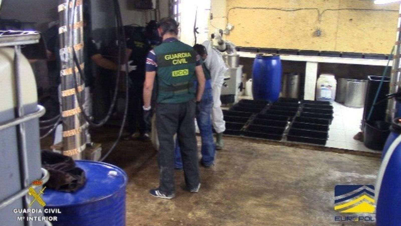 L'Informatiu - Comunitat Valenciana 2 - 17/05/18 - ver ahora