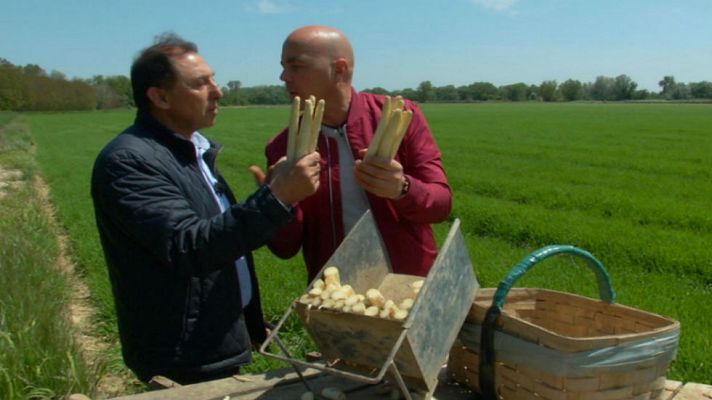 Aquí la Tierra - ¿Por qué los espárragos de Navarra son tan apreciados?