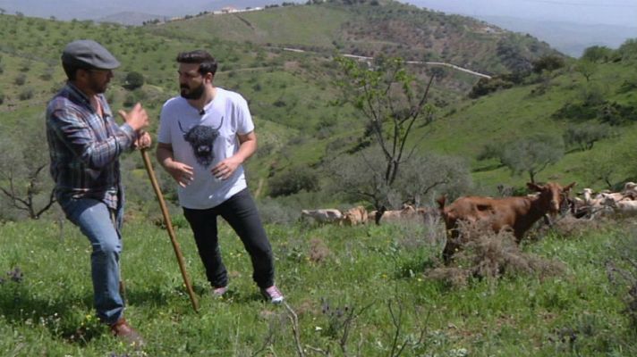 Aquí la Tierra - Cabras cada vez mejores