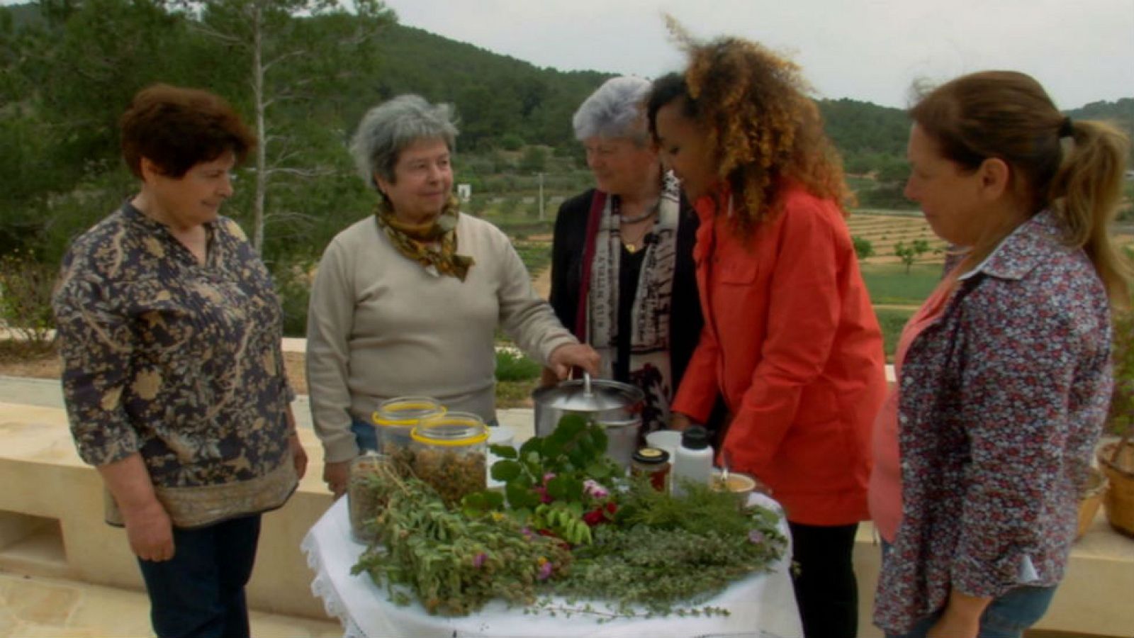 La mejor infusión del campo