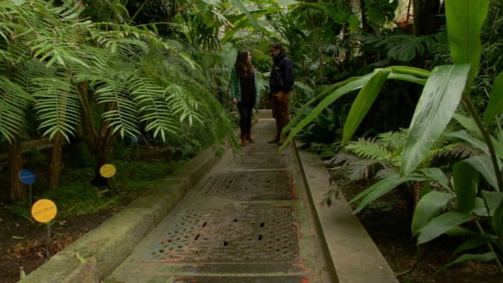 Aquí la Tierra - El mesías de las plantas