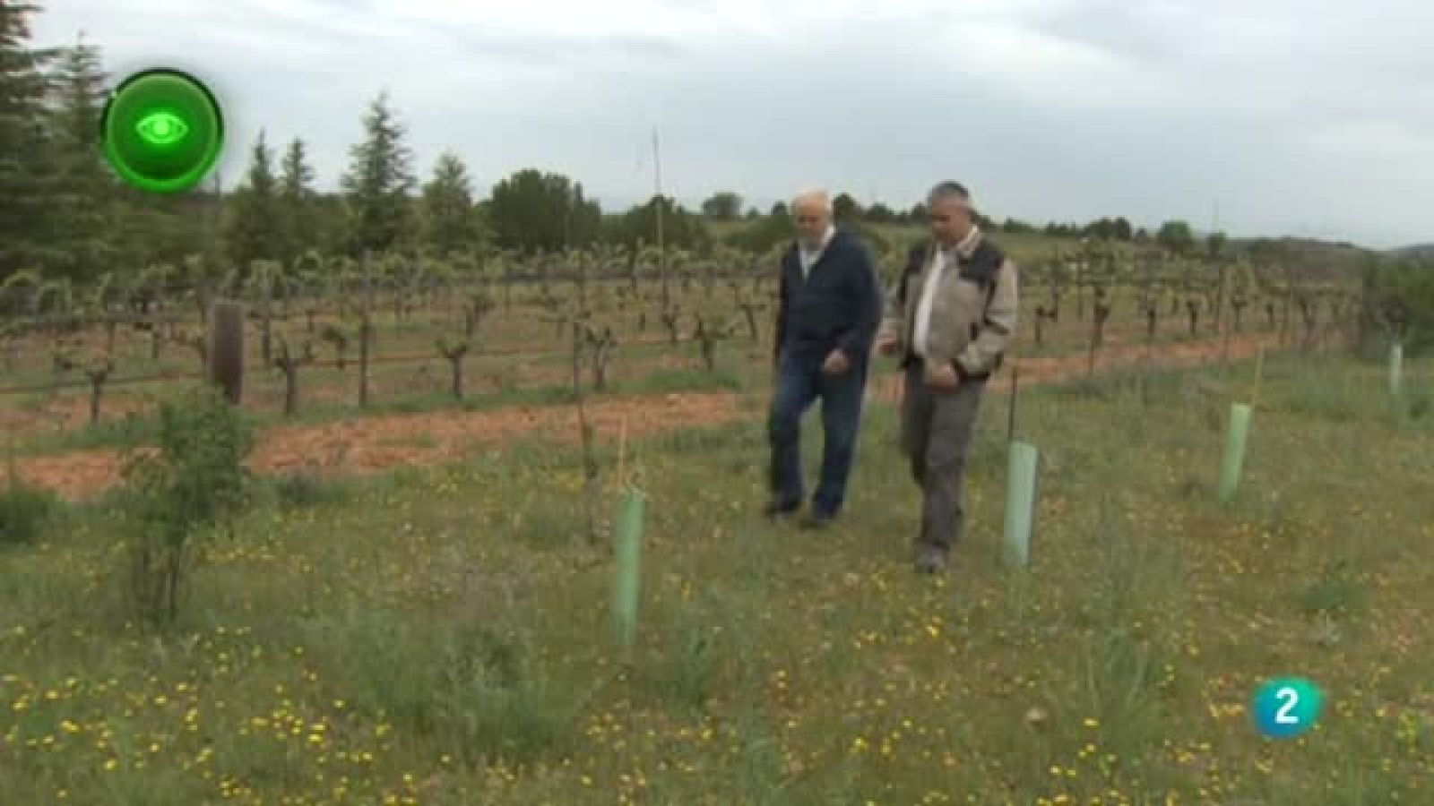 Primer Plano Campos De Vida