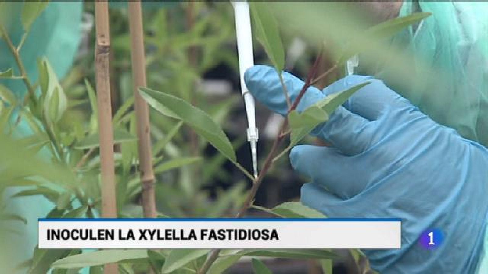 Informatiu Balear en 2' - 21/05/18