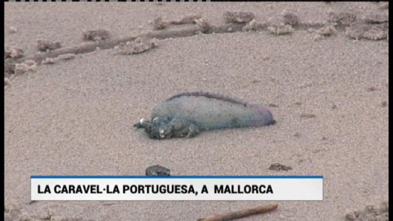 Informatiu Balear 2 - 22/05/18