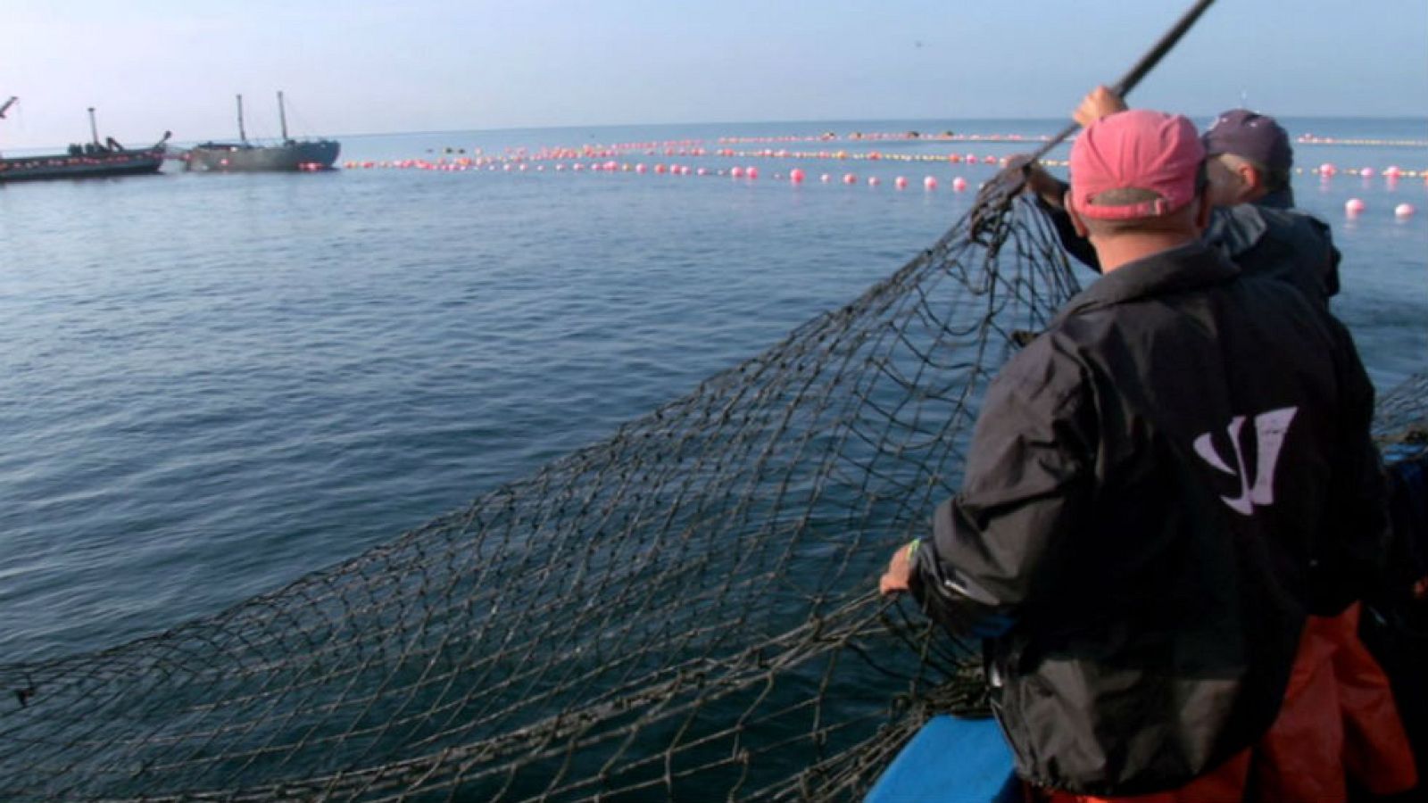 En la almadraba algo ha cambiado