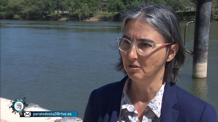 Para todos La 2 - Medio ambiente - Ríos hormonados