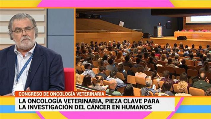 Cerca de ti - Cerca de ti - 24/05/2018