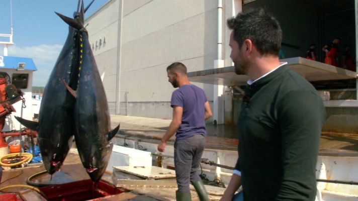 Aquí la Tierra - El mes de la almadraba