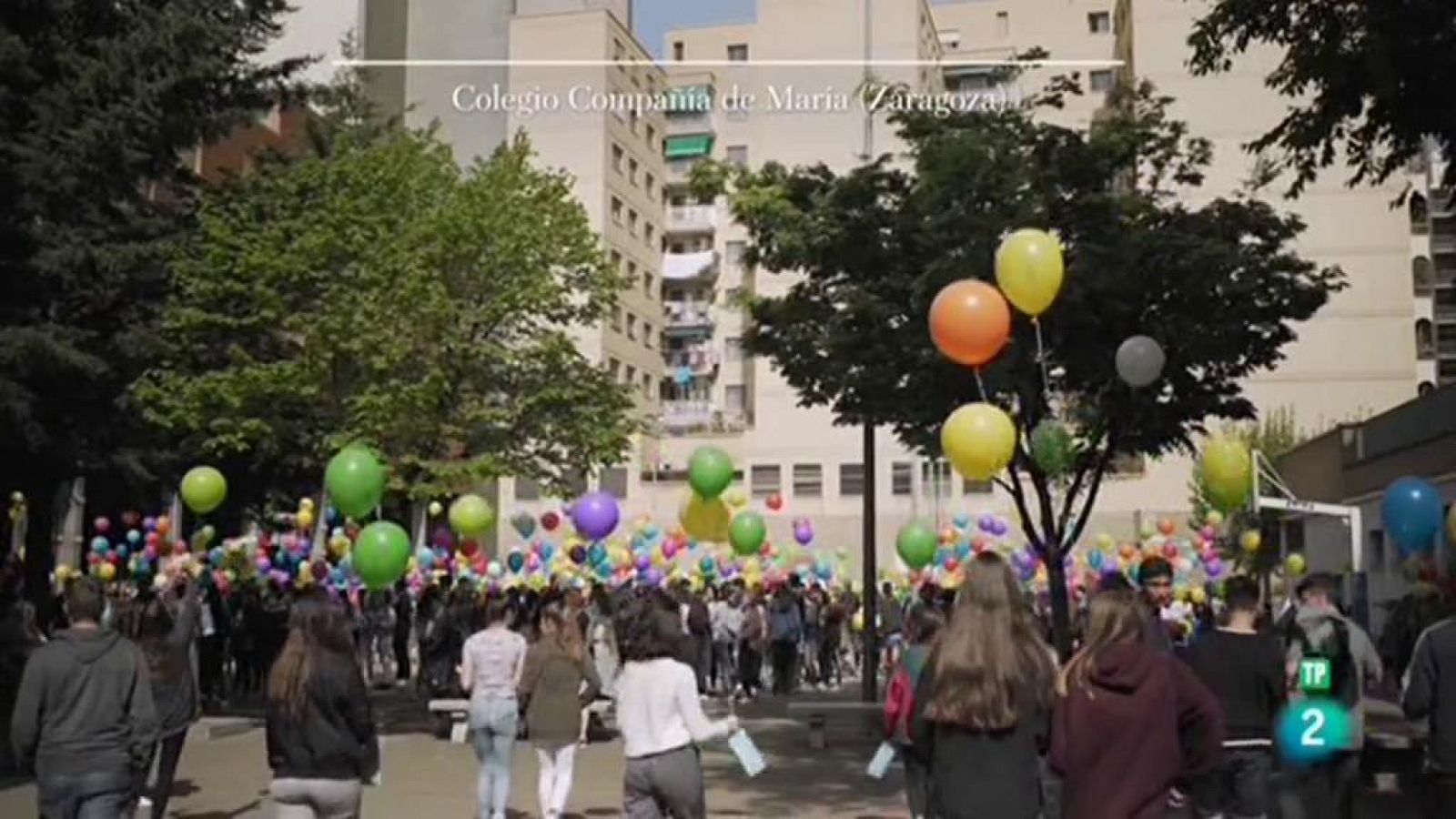 Página Dos - El reportaje - Atrapavientos