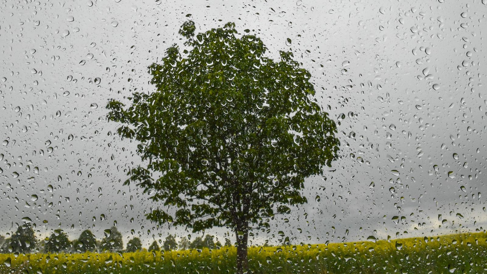 Chubascos y tormentas en el tercio norte de la península