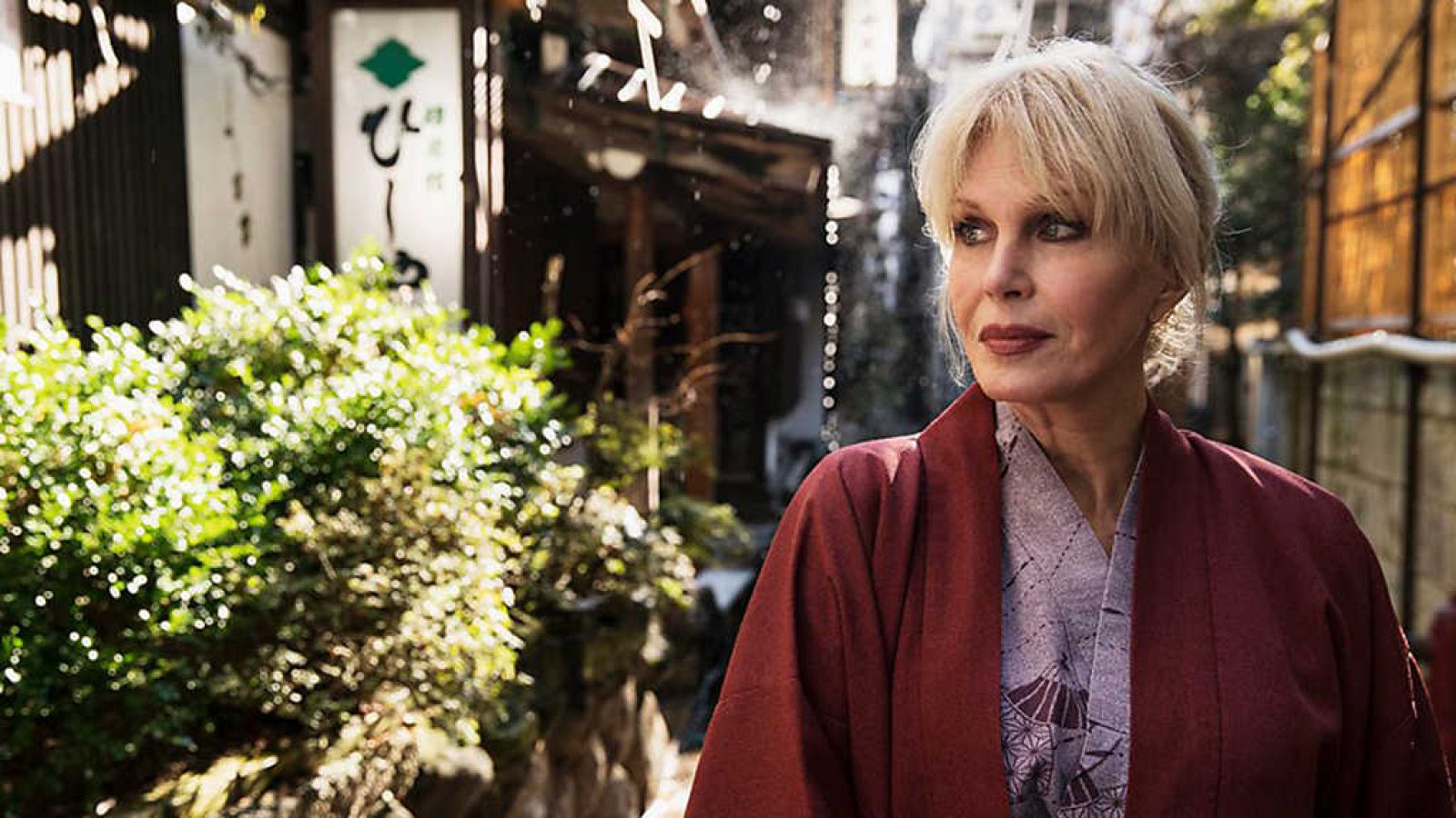 Grandes documentales - El viaje a Japón de Joanna Lumley, cap. 2 - ver ahora