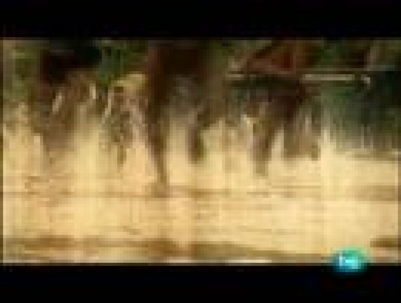 Relatos de otras tierras- Indonesia