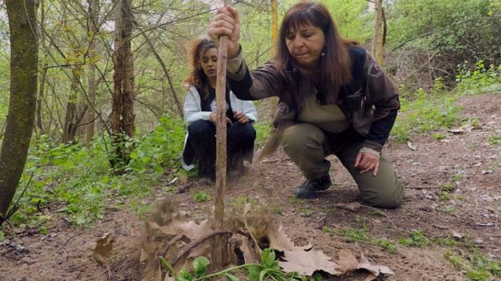 Aquí la Tierra - A la caza del cazador