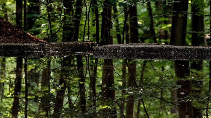 El tiempo - El frente afecta al norte peninsular