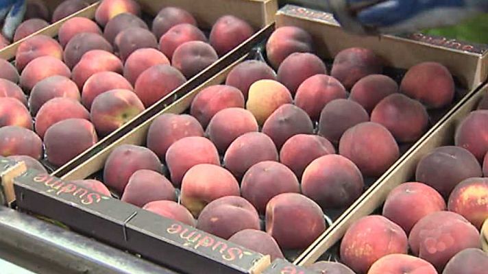 Agrosfera - Agrosfera - 26/05/18