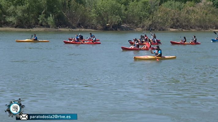 Para todos La 2 - Para todos La 2 - 26/05/18