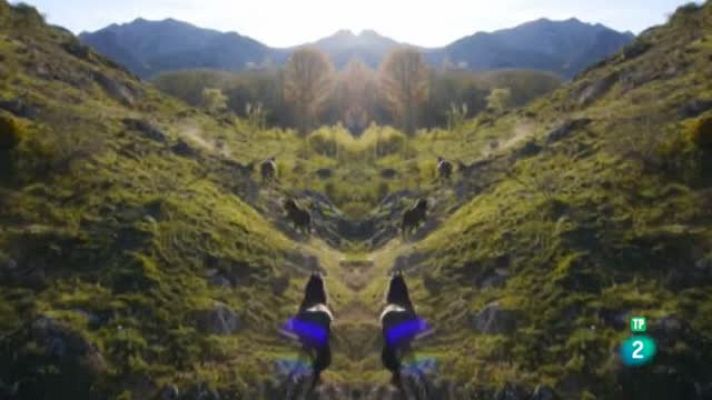 RTVE responde - 'Aquí la tierra' cumple cuatro años