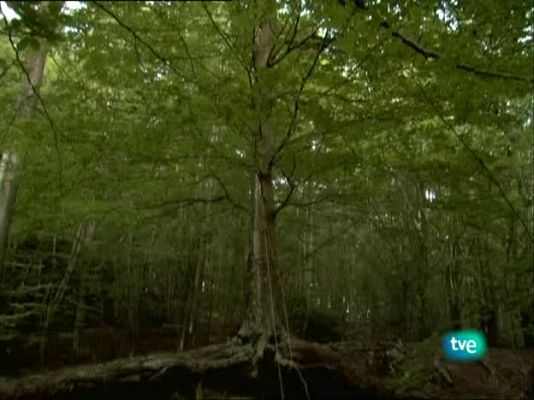 Metrópolis - Segunda Bienal de Canarias