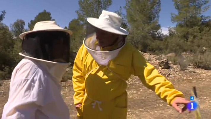 Comando Actualidad - Los otros azúcares -¿De dónde viene la miel que consumimos?