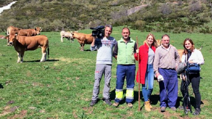 Aquí la Tierra - La trashumancia asturiana