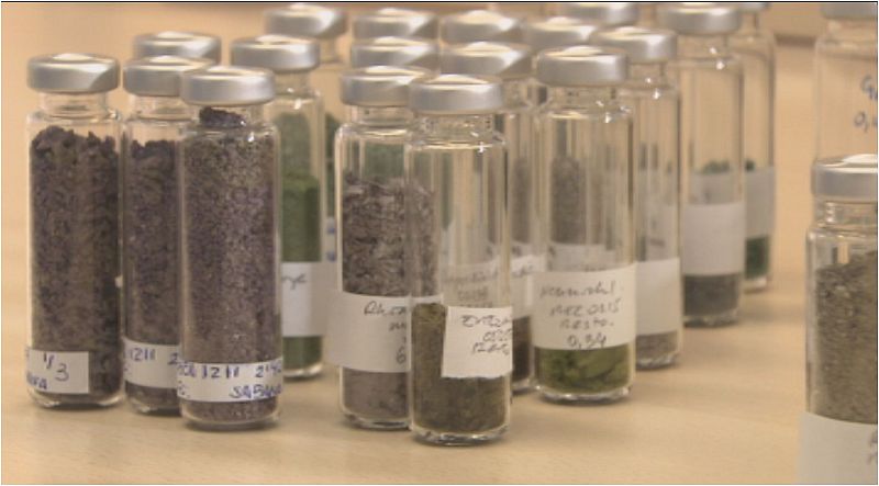 Lab 24 - Microalgas, la economía azul