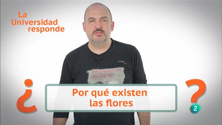 La aventura del Saber - ¿Por qué existen las flores?