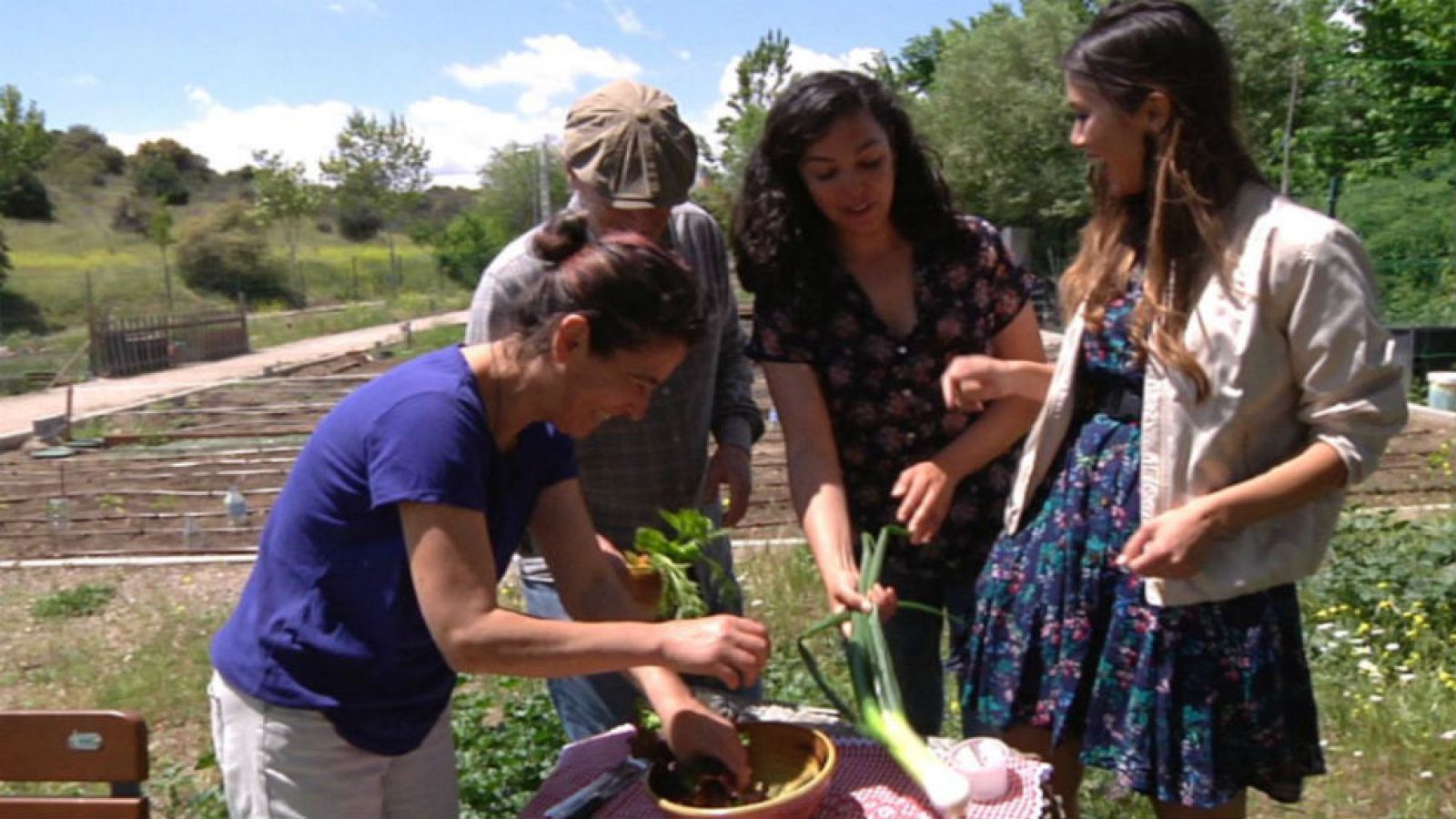 La primera ensalada de la primavera