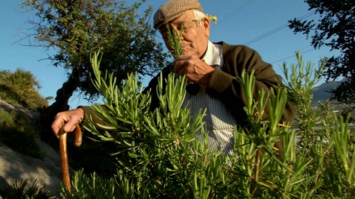 Aquí la Tierra - La farmacia natural malagueña