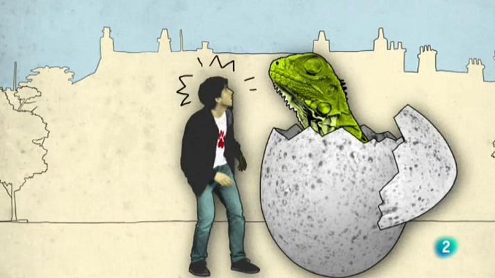 La meva mascota i jo - La meva mascota i jo - 30/05/2018