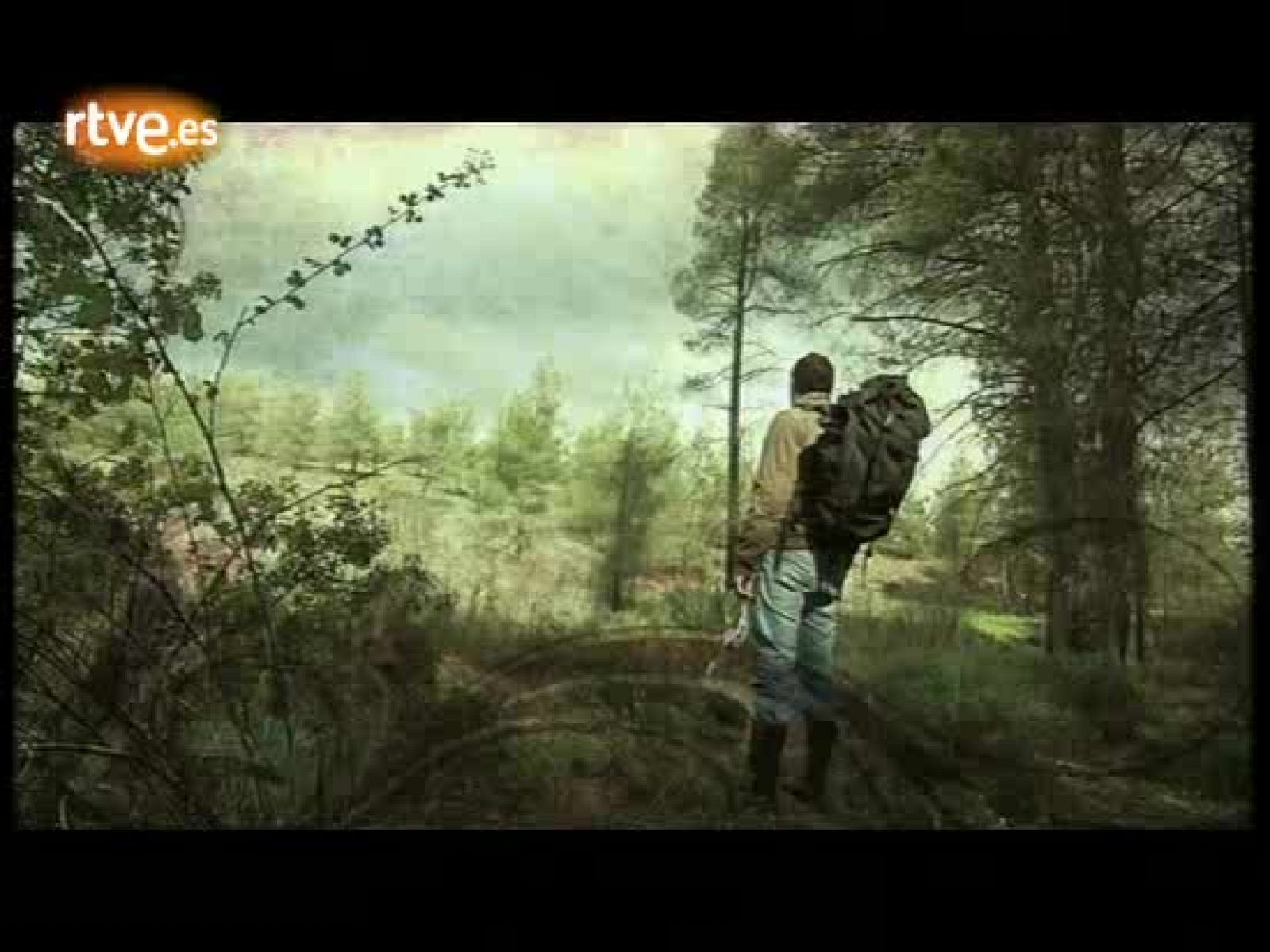 Eurovisión 2009 - Actuación de Chipre en la Final con Christina Metaxa | Ver