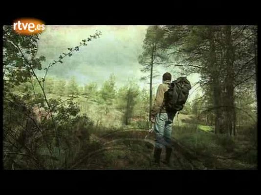 Eurovisión - Actuación de Chipre en la Final