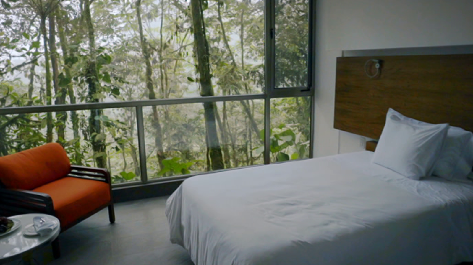 Grandes documentales - Hoteles increíbles: Marina Mashpi Lodge, Ecuador - ver ahora