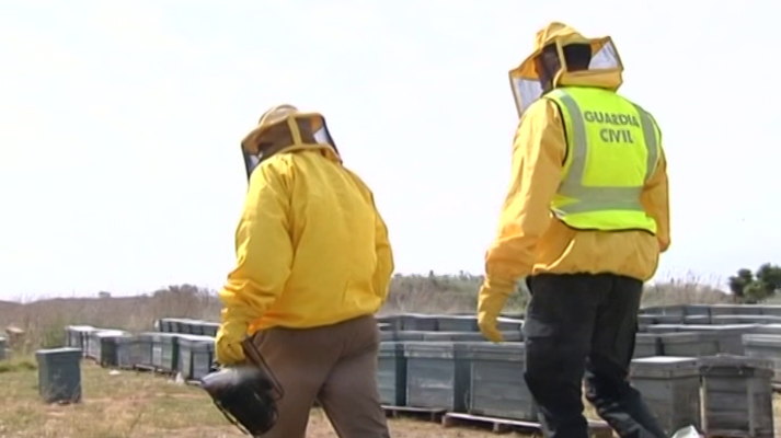 Agrosfera - Agrosfera - 02/06/18