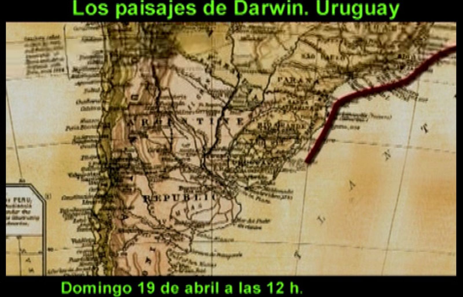 El escarabajo verde - Ciclo Darwin - El escarabajo verde | Ver