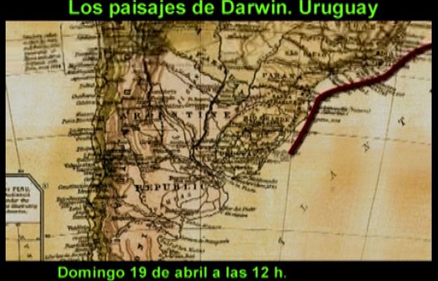 El escarabajo verde - Ciclo Darwin