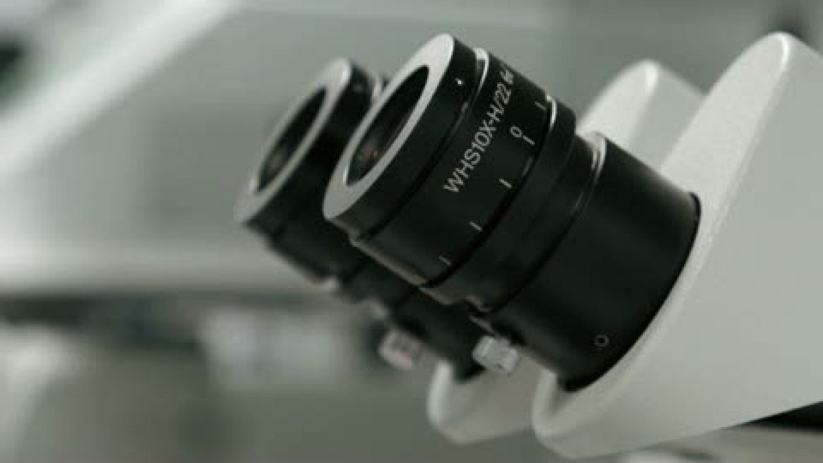 Fecundación in vitro