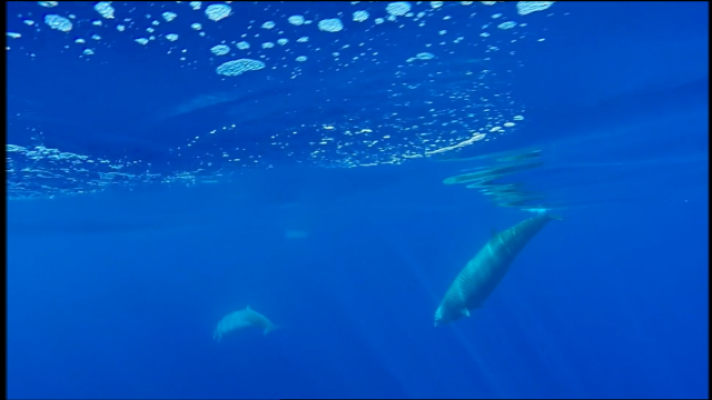 Telecanarias - Telecanarias 2 - 01/06/2018