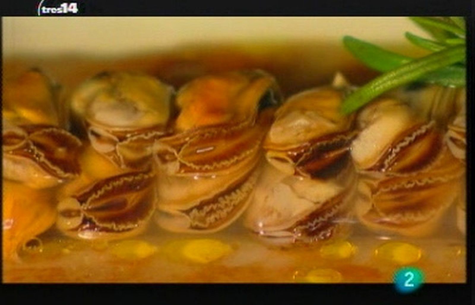 Gelatinas frias y calientes (Frío y calor)