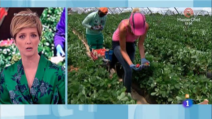 La mañana - Abusos a temporeras