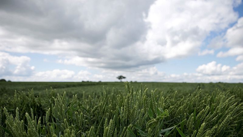 El Tiempo en la Comunidad de Madrid - 04/06/18