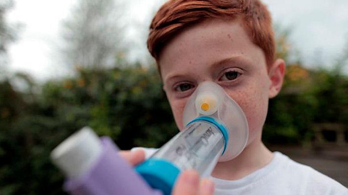 Documenta2 - Horizon. Alergias: La vida moderna y yo