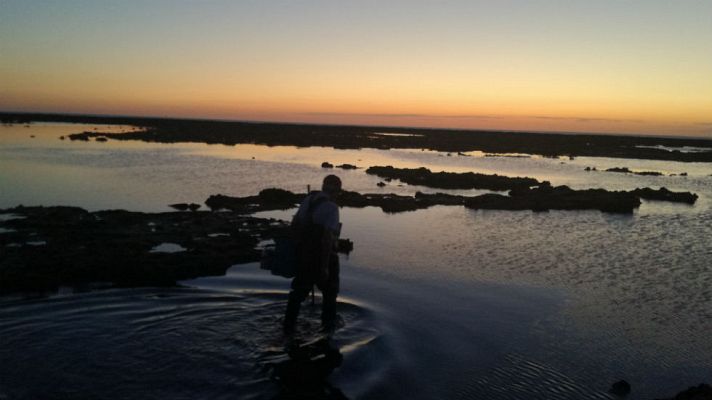 Aquí la Tierra - Corrales al atardecer