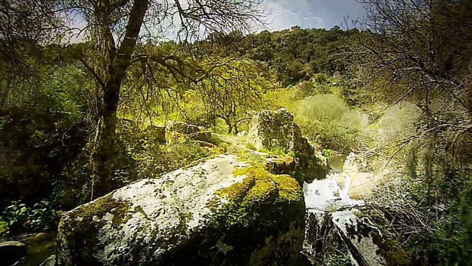 VII Seminario de la Cátedra Aquae