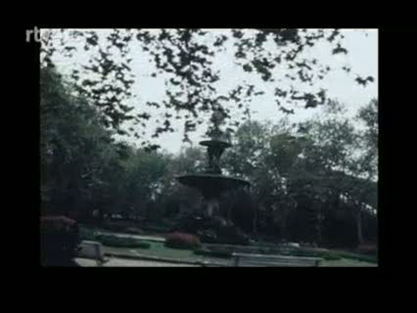 Arxiu TVE Catalunya - El Zoo de Barcelona