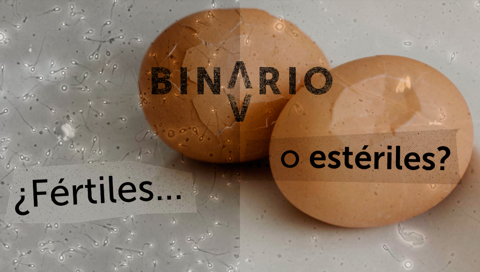 Binario - Cap�tulo 2. 'Nacidos bajo la boina' - Binario | Ver